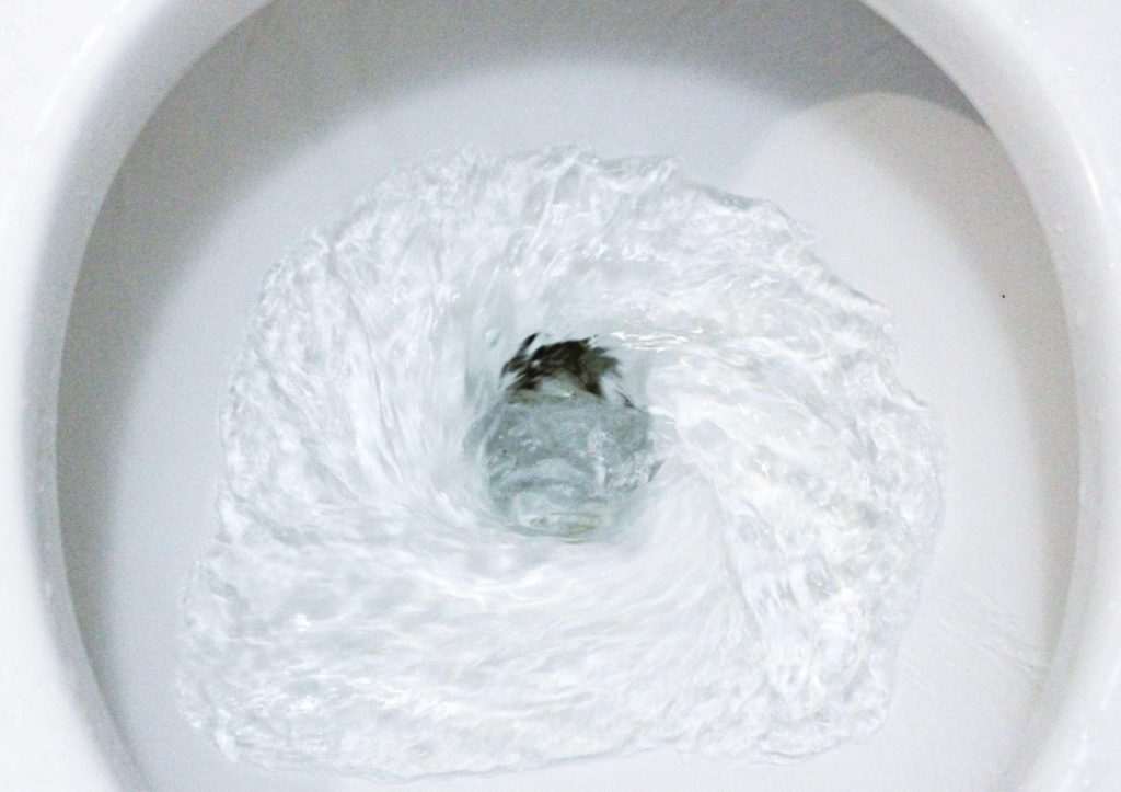 toilet bowl flushing